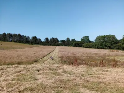 a field with a dirt road in the middle at 2 Bed in Llanybydder oc-81353 in Llanwenog