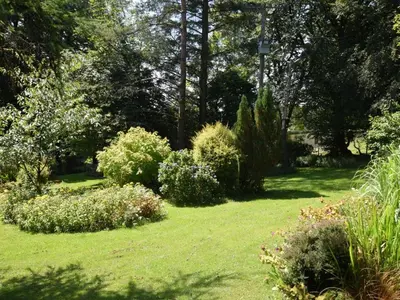a garden with green grass and bushes and trees at 1 Bed in Lampeter oc-43288 in Tregaron