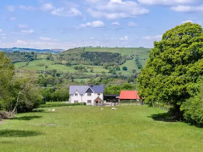 a white house in a field with sheep in the grass at 4 Bed in Llandinam oc-51651 in Llandinam