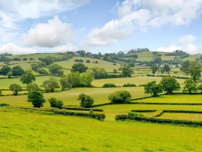 a green field with trees in the distance at 3 Bed in Brecon oc-88249 in Brecon