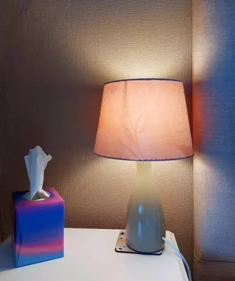 a lamp sitting on a table next to a box of tissues at South View Cottage with Terrace and Coastal Views in Fairbourne