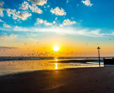 a flock of birds flying over a beach at sunset at South View Cottage with Terrace and Coastal Views in Fairbourne
