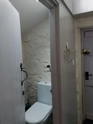 a bathroom with a white toilet in a room at CaeEinion Cottage a Georgeous Rural Retreat Nr Dolgellau in Dolgellau