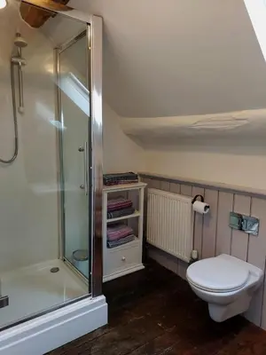 a bathroom with a toilet and a shower at CaeEinion Cottage a Georgeous Rural Retreat Nr Dolgellau in Dolgellau