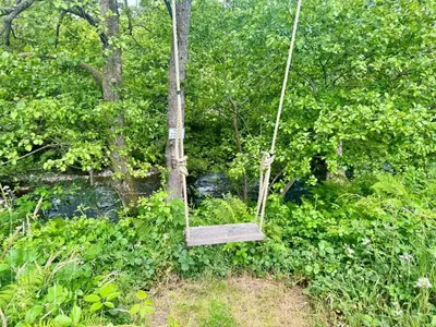 a swing hanging from a tree in the woods at 1 Bed in Llanidloes oc-81415 in Van
