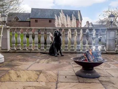 a black dog sitting in front of a fence at 4 Bed in Newtown oc-86784 in Bettws Cedewain