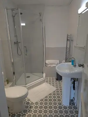 a bathroom with a shower and a toilet and a sink at Penygelli Apartments in Newtown