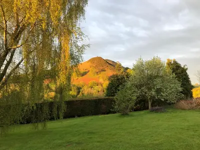 a field with trees and a hill in the background at Offa's Dyke Lodge B&B in Gladestry