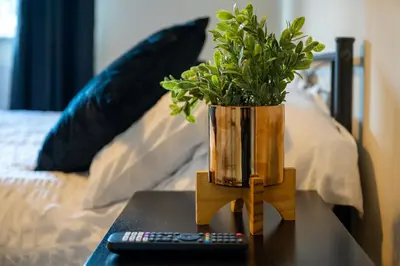 a plant in a vase on a table next to a bed at Town Centre Cottage 3 Bedroom inc Parking (1 car) in Shrewsbury