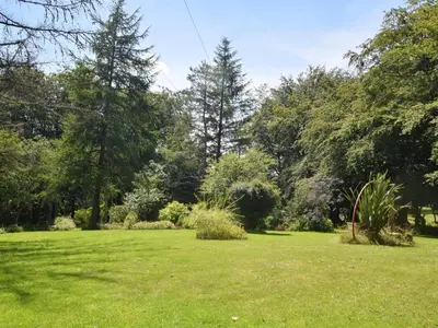 a field of grass with trees in the background at 2 Bed in Lampeter oc-43293 in Tregaron