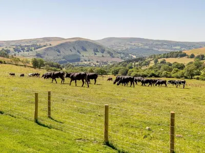 a herd of horses running in a field at 2 Bed in Llandrindod Wells oc-89063 in Nantmel