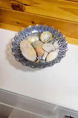 a plate of shells sitting on a table at Rural Log Cabin in Snowdonia near Coed y Brenin by Seren Short Stays in Ffestiniog