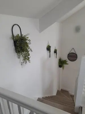 a staircase with potted plants on a white wall at The Old Fire Station in Tregaron