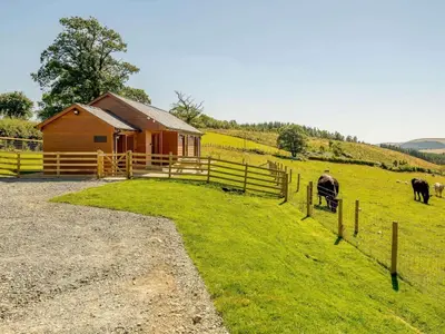 a barn with two horses in a field next to a fence at 2 Bed in Llandrindod Wells oc-89064 in Nantmel