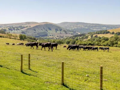 a herd of horses running in a field at 2 Bed in Llandrindod Wells oc-89064 in Nantmel