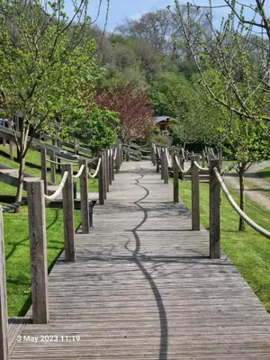 a wooden walkway with a fence and trees at Mountain Edge Resort Lodge 3 with Hot Tub in Church Stretton