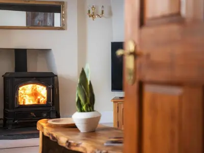 a living room with a fireplace and a table with a plant at 5 Bed in Aberystwyth oc-58889 in Llanrhystyd