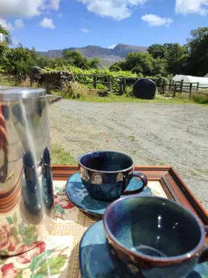 a cups and saucers on a table with a view of a field at Pandy Farmhouse - Panoramic mountain views within Snowdonia's National Park - 4x4 Only in Dolgellau