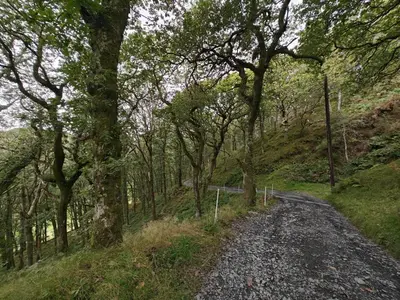 a dirt road with trees on the side of a hill at Pandy Farmhouse - Panoramic mountain views within Snowdonia's National Park - 4x4 Only in Dolgellau