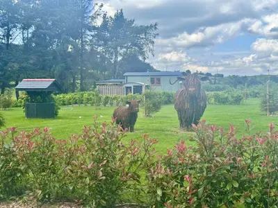 two cows are standing in a field of grass at 2 Bed in Rhayader oc-90279 in Saint Harmon