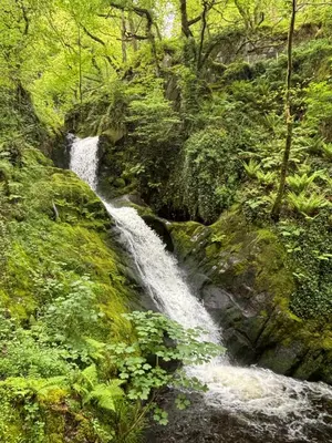 a waterfall on the side of a hill with trees at The Retreat - 2 bed cottage in Aberdovey in Aberdyfi