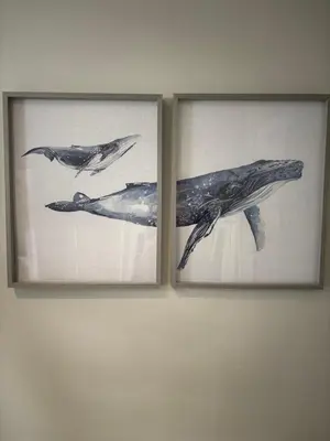 two pictures of a whale and a dolphin on a wall at The Retreat - 2 bed cottage in Aberdovey in Aberdyfi