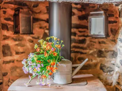 a vase of flowers sitting on a table at 3 Bed in Corwen oc-90459 in Corwen
