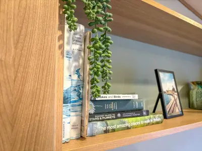 a stack of books sitting on a shelf with a plant at Little Curlew, Ynyslas, Borth in Borth