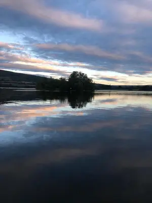 a lake with a tree in the middle of it at Brecon serviced apartments- Kian Perrott Properties in Brecon