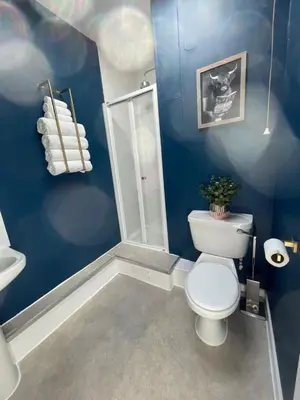 a blue bathroom with a toilet and a shower at Beech Cottage with Clun Castle View in Clun