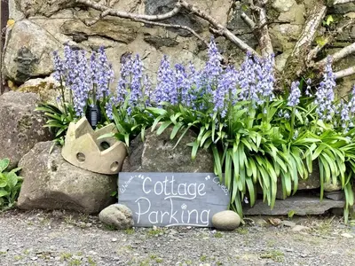 a garden with purple flowers on a rock at Glan Y Morfa Bach The Stone Cottage in Tywyn