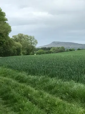 a field of green grass with trees in the background at The Nut House - Squirrel Lane Lodges Ludlow in Ludlow
