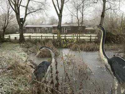 two birds standing in a pond in front of a house at The Nut House - Squirrel Lane Lodges Ludlow in Ludlow