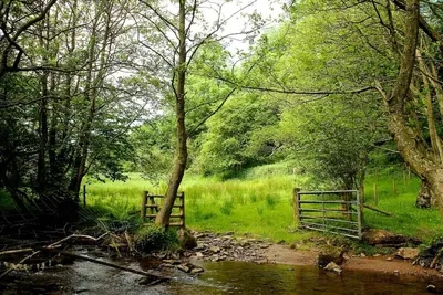 a fence in a field next to a creek at The Castle, Capel-y-Ffin, The Black Mountains in Abergavenny