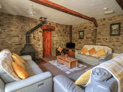 a living room with two couches and a fireplace at Y Felin in Llanybydder