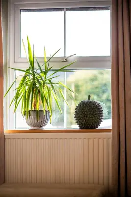 a window with two plants sitting on a window sill at The Cedars in Builth Wells