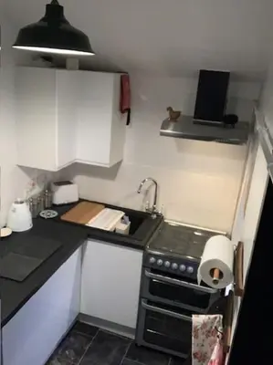 a small kitchen with a stove and a sink at Dolgoch Mill House Annexe in Llanfair Caereinion