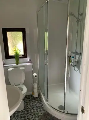 a bathroom with a shower and a toilet and a sink at 7F Cwtch Cymru Lodge, Caer Beris Holiday Park - no commercial vehicles permitted on site in Builth Wells
