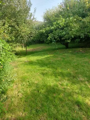 a field of grass with trees in the background at The Cosy Pad Glan Y Morfa Bach in Tywyn