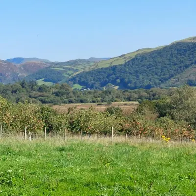 a fence in a field with mountains in the background at The Cosy Pad Glan Y Morfa Bach in Tywyn