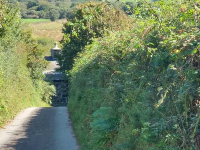 a road with trees on the side of a hill at The Cosy Pad Glan Y Morfa Bach in Tywyn