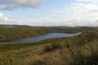 a river in the middle of a grassy field at Yr Hen Efail - Old Smithy in Tregaron