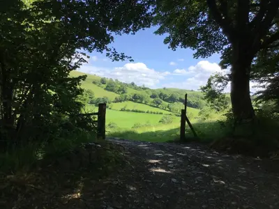 a dirt road with a fence and a tree at Fronfetyn in Aberystwyth