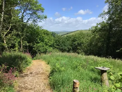a dirt trail in the middle of a field with trees at Fronfetyn in Aberystwyth