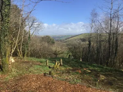 a field with trees and a hill in the distance at Fronfetyn in Aberystwyth