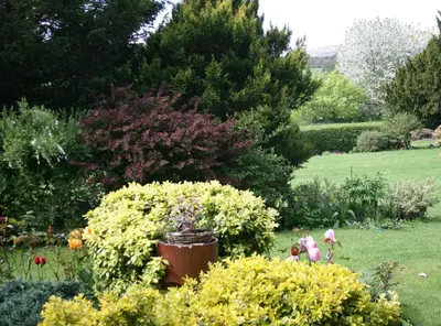 a garden with a large pot of flowers and bushes at Penralley House B&B in Rhayader