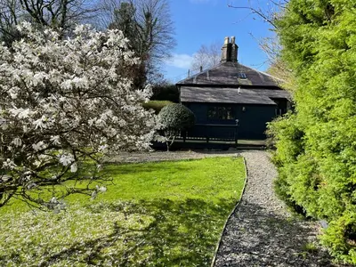 a bench in front of a building with a flowering tree at Glandwr Lodge, 3 bed in Barmouth, Wales in Barmouth