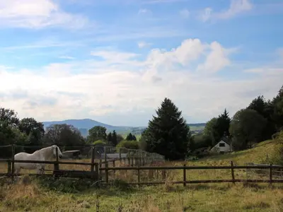 a horse standing in a field behind a fence at The Duckhouse in Shrewsbury