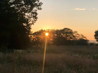 a sunset in a field with a light in the grass at Tanybryn (Welsh meaning on the brow of a hill) in Tregaron