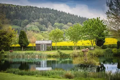 a garden with a pond in front of a building at Dee's Cottage at Brinsop in Hereford